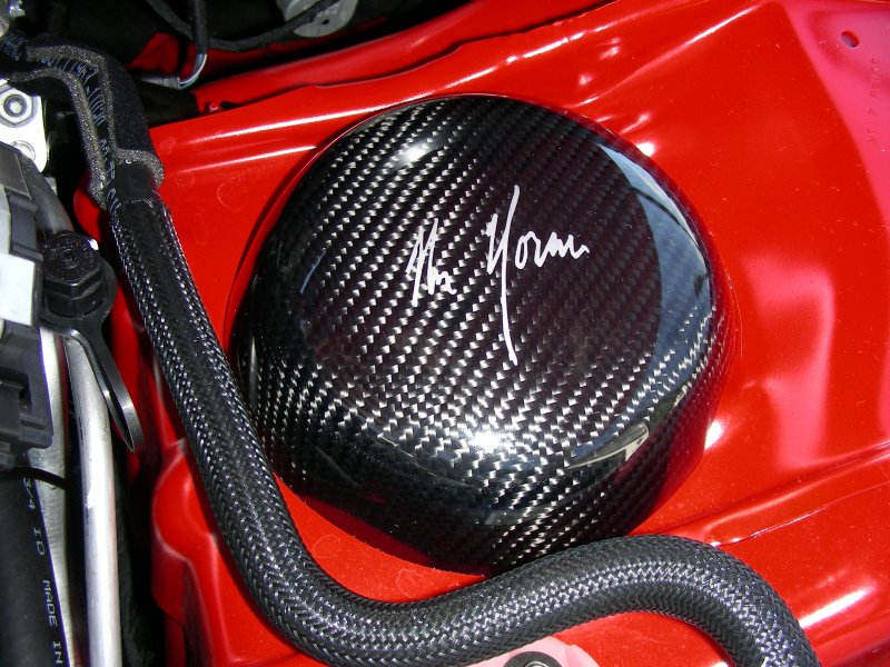 Mr. Norm’s Carbon Fiber Strut Covers LX Cars
